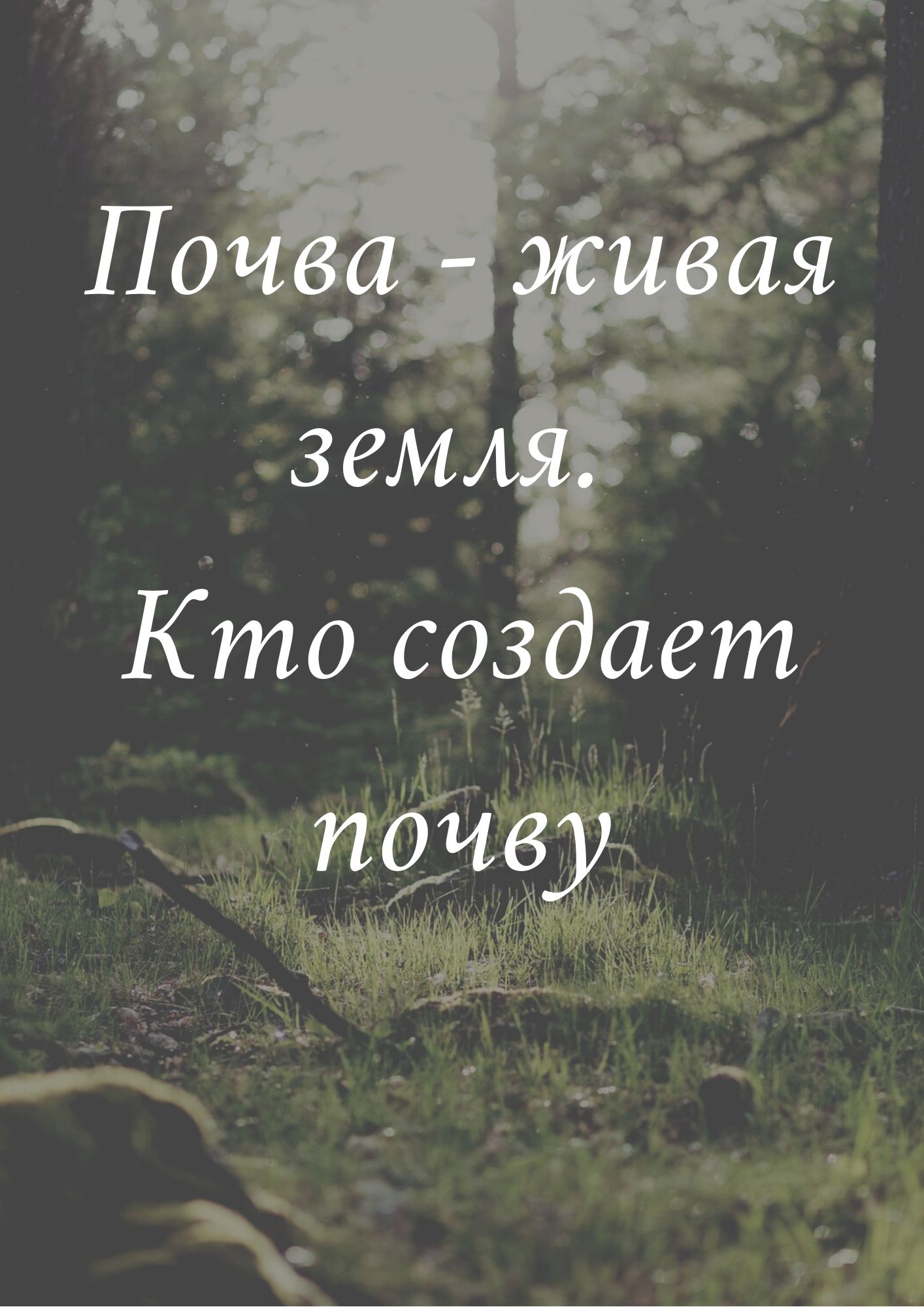 Файлы из библиотеки